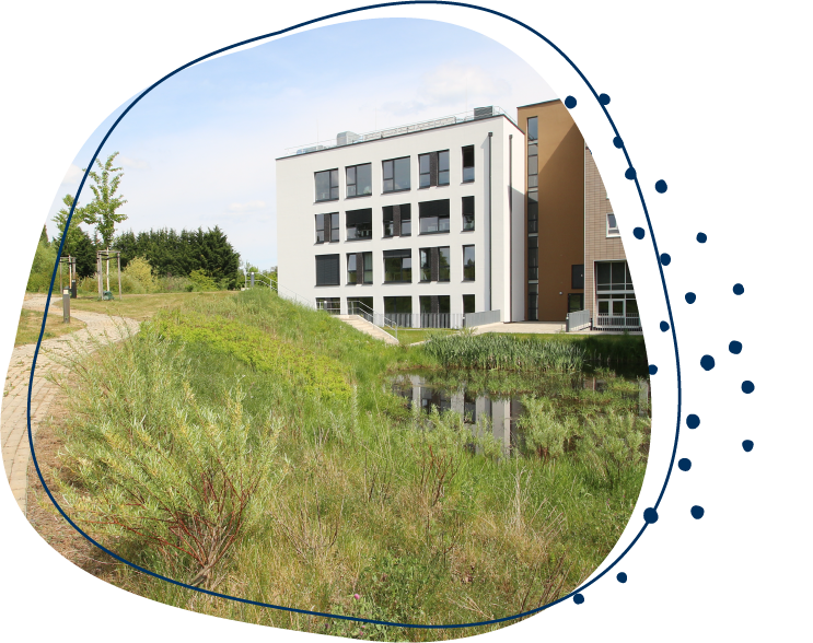 Weißes Haus vor einer Grünfläche mit Teich.